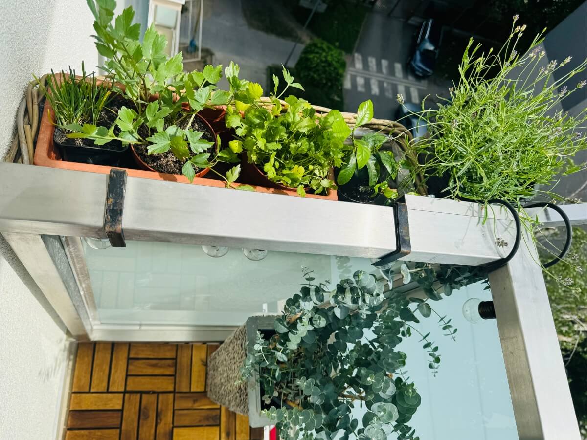 Pestovanie byliniek v malých hrantíkoch na balkóne.